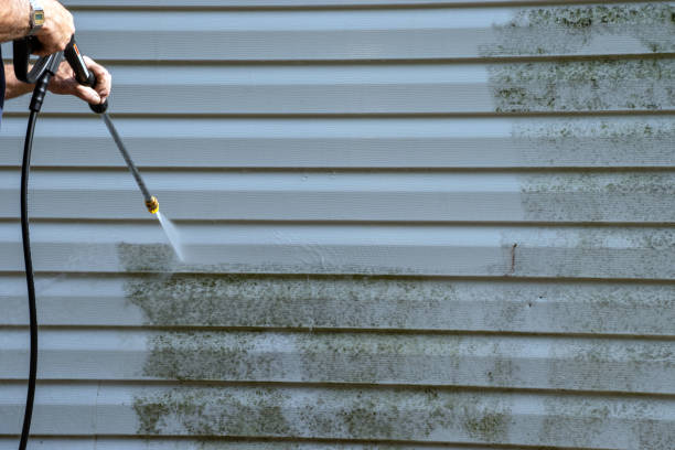 Best Foreclosure Cleanout  in Hebron, OH